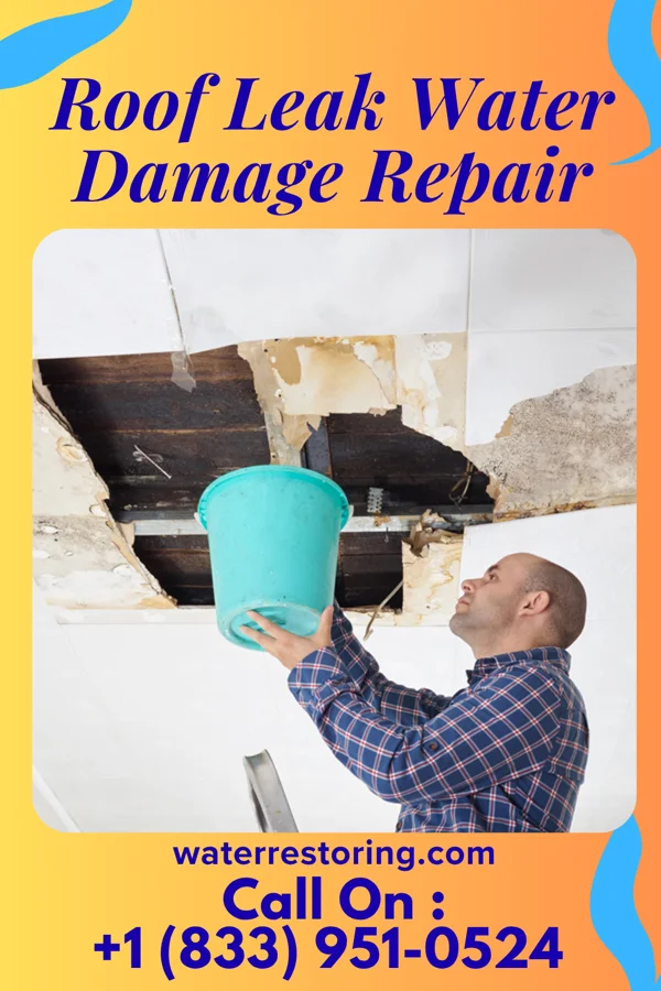 Roof Leak Water Damage Repair in Square Butte, MT